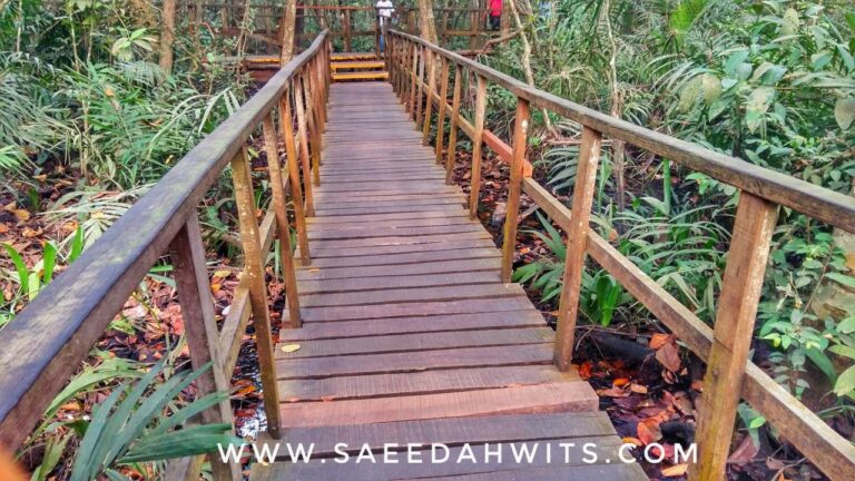 Hotels near Lekki Conservation Centre offering nature walks