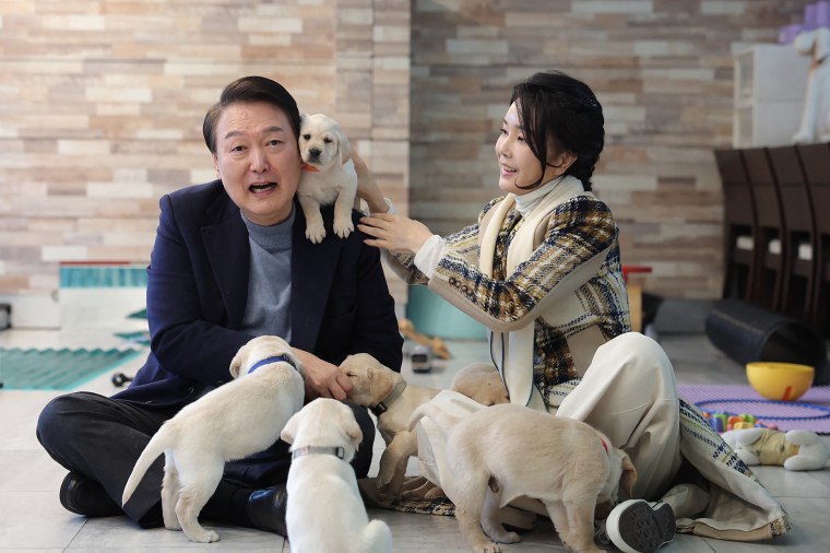 Legal requirements for owning a pet in a South Korean apartment