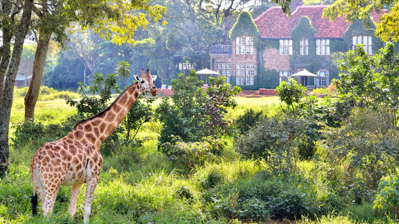 Hotels near national parks in Nigeria for wildlife viewing